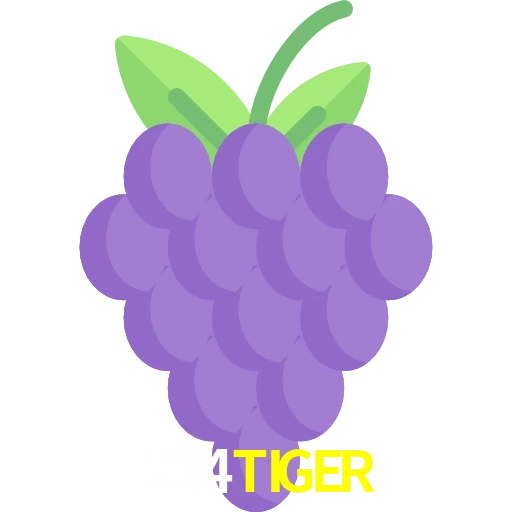 234TIGER